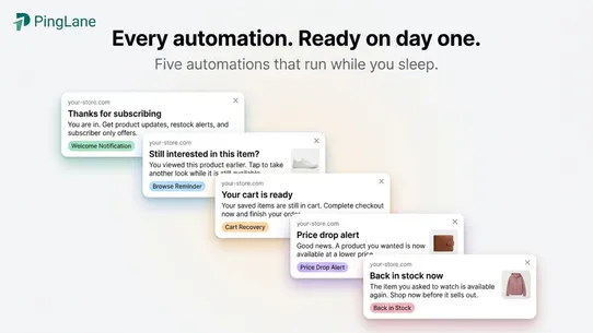 PingLane: Web Push screenshot
