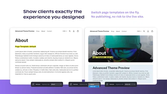 Avanced Theme Preview screenshot