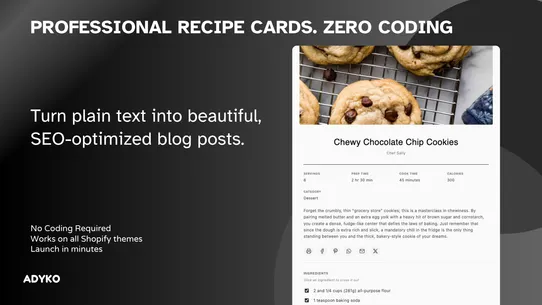 ADYKO: Recipe Blog Posts screenshot