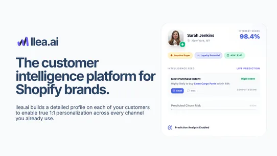 llea.ai Customer Intelligence screenshot