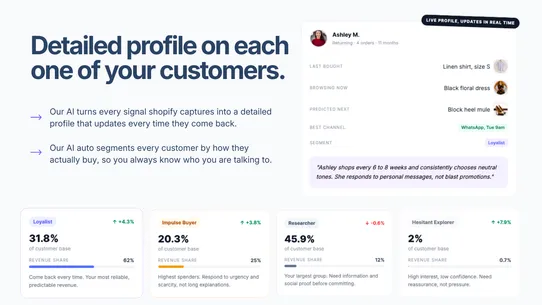 llea.ai Customer Intelligence screenshot