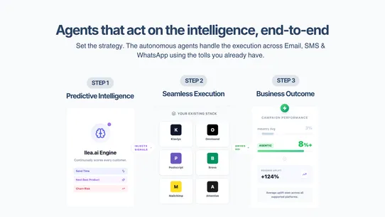 llea.ai Customer Intelligence screenshot