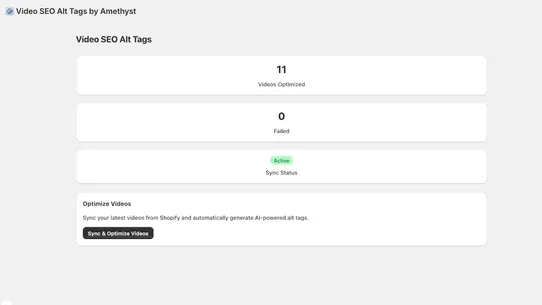 Video SEO Alt Tags &amp; Names screenshot