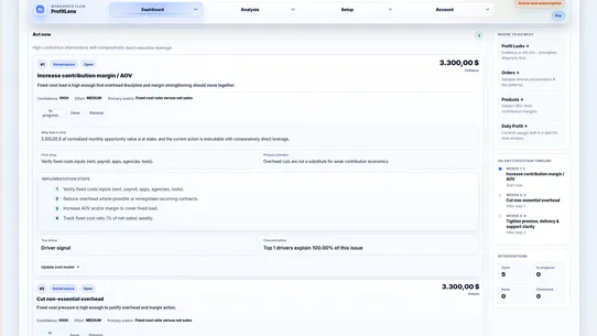 ProfitLens Analytics screenshot