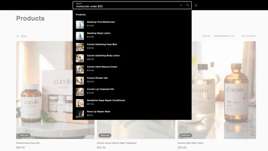 Queryra – AI Semantic Search screenshot