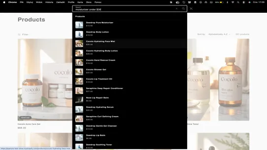 Queryra – AI Semantic Search screenshot