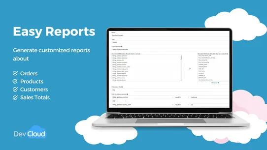 Easy Reports by DevCloud screenshot