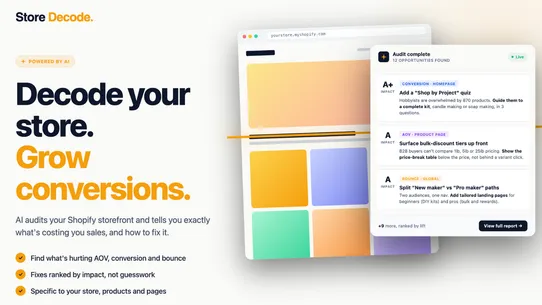 Store Decode: AI Store Audit screenshot