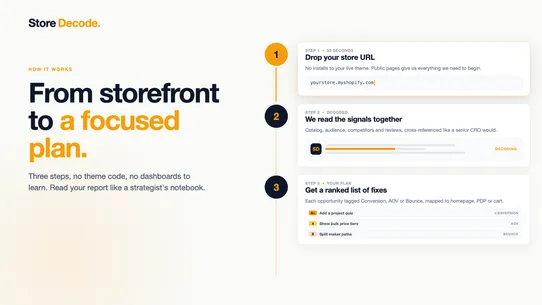 Store Decode: AI Store Audit screenshot