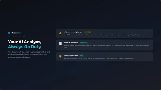 MerchantFlow: Profit Analytics screenshot