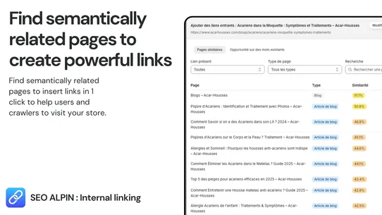 SEO Alpin : Internal Linking screenshot