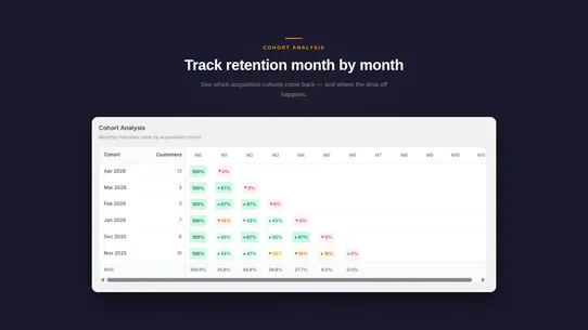 RetainPulse ‒ Segment Insights screenshot