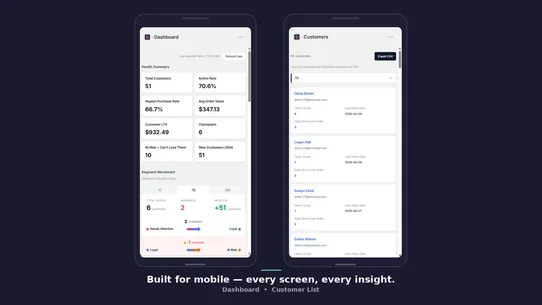 RetainPulse ‒ Segment Insights screenshot
