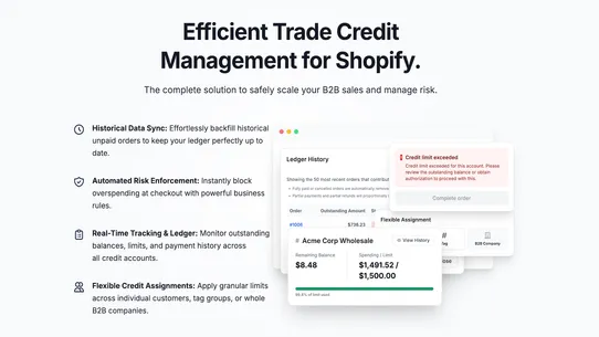 Trade Credit: B2B Credit Limit screenshot