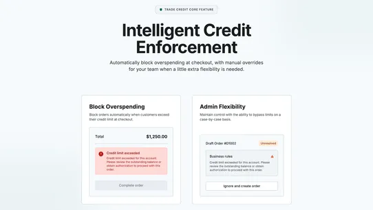 Trade Credit: B2B Credit Limit screenshot