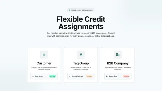 Trade Credit: B2B Credit Limit screenshot