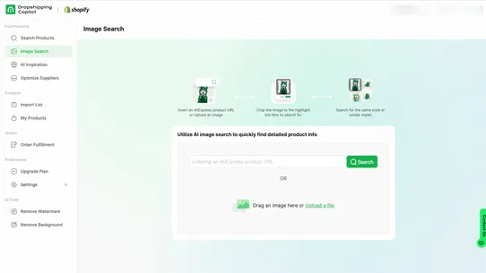 Dropshipping Copilot AI screenshot