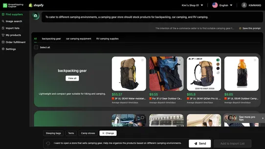 Dropshipping Copilot AI screenshot