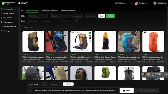 Dropshipping Copilot AI screenshot