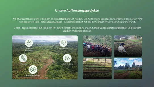 Treesor Baum Bonusprogramm DE screenshot