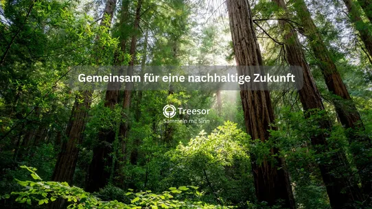 Treesor Baum Bonusprogramm DE screenshot