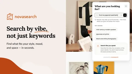 novasearch AI screenshot