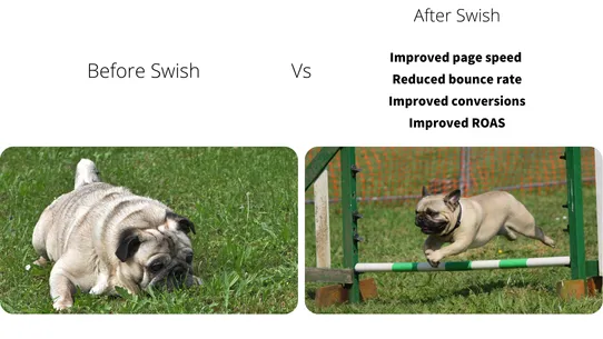 Swish: Page Speed Booster screenshot