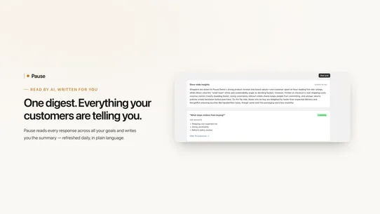 Pause: AI Customer Feedback screenshot