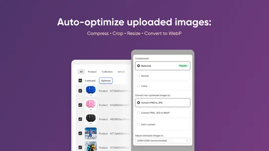 PicManager Bulk Image Upload screenshot