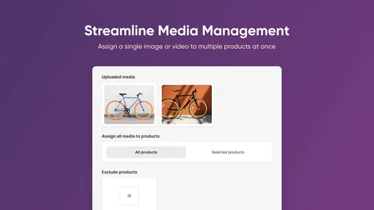 PicManager Bulk Image Upload screenshot