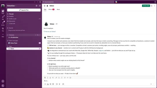 Selzee: AI Creative Strategist screenshot
