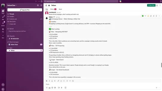 Selzee: AI Creative Strategist screenshot