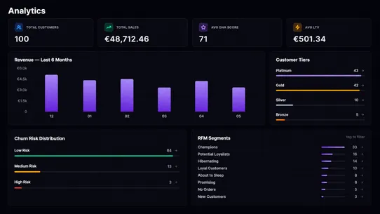 SegmentIQ ‑ Customer CRM screenshot