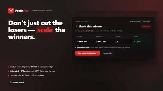 ProfitAxe screenshot