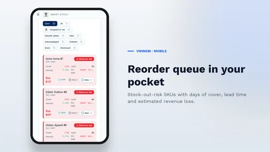 Viking Warehouse Stock BI screenshot