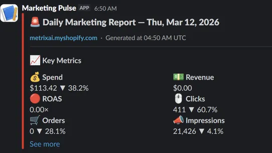 Marketing Pulse ‑ ROAS Tracker screenshot