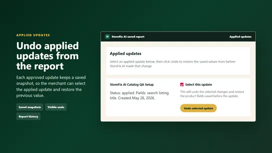 StoreFix AI screenshot