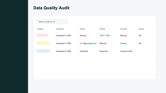CustomerClean Audit screenshot