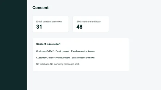 CustomerClean Audit screenshot