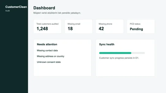 CustomerClean Audit screenshot