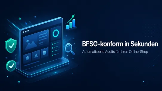 Navible BFSG Scanner screenshot