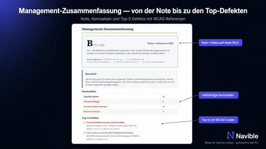 Navible BFSG Scanner screenshot