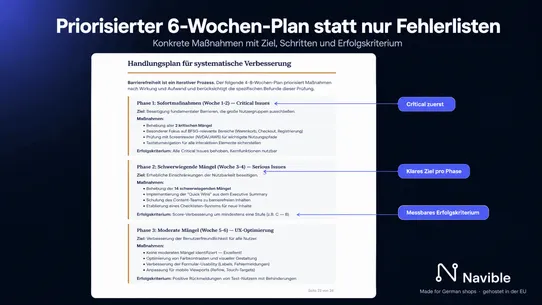 Navible BFSG Scanner screenshot