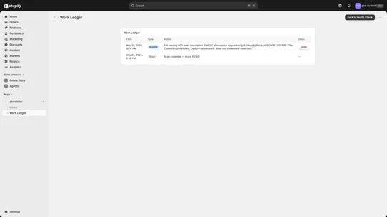 AI Store Audit — Health Check screenshot