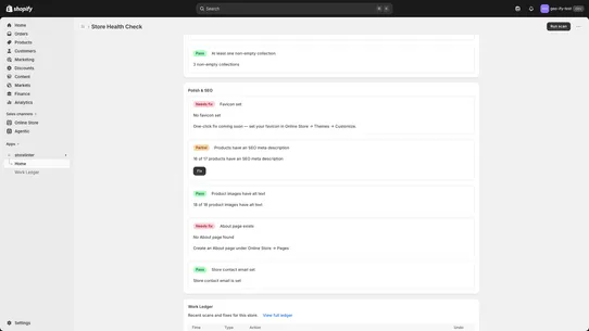 AI Store Audit — Health Check screenshot