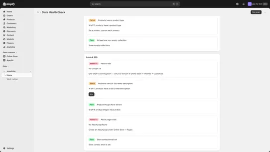 AI Store Audit — Health Check screenshot