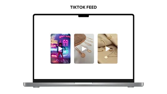 TikTok Feed screenshot