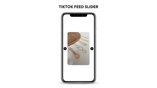 TikTok Feed screenshot