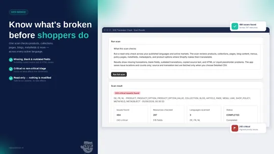 DSK Translation Check screenshot