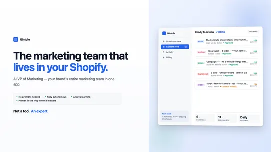 Nimble AI Marketing Team screenshot
